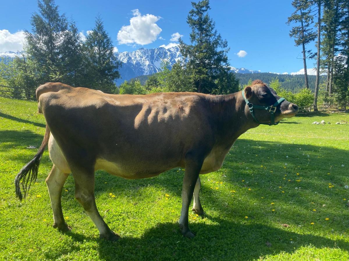 Sweetwater Lane Farm Villa Mount Currie Ngoại thất bức ảnh