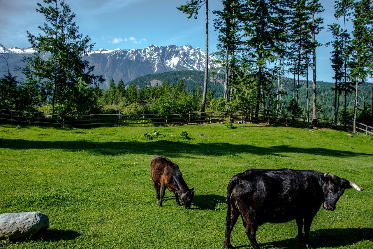 Sweetwater Lane Farm Villa Mount Currie Ngoại thất bức ảnh