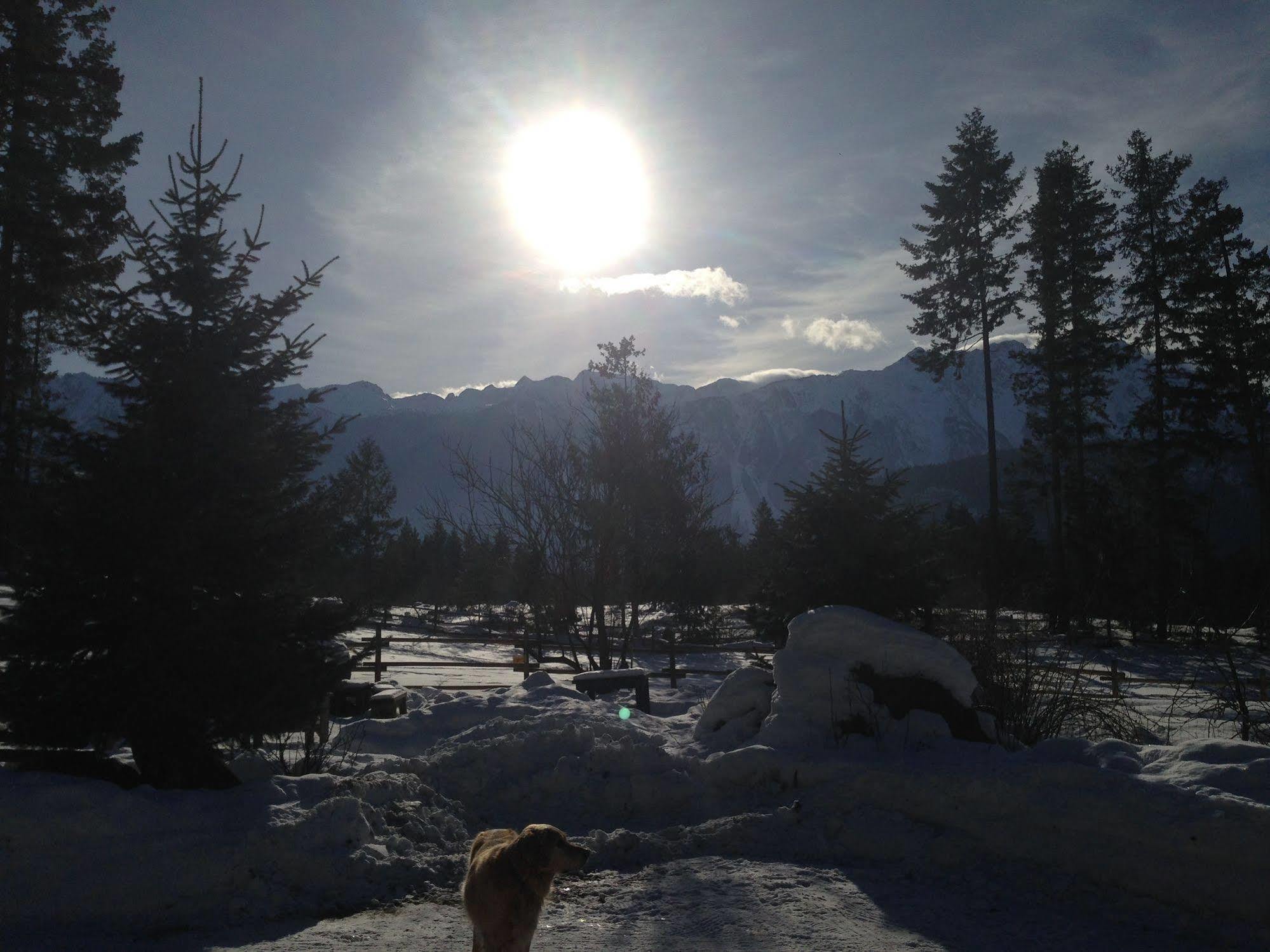 Sweetwater Lane Farm Villa Mount Currie Ngoại thất bức ảnh